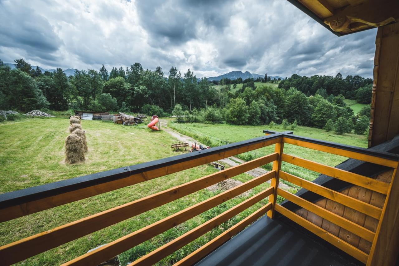 Domek Regionalny Dan Pio 2 Zakopane Eksteriør bilde